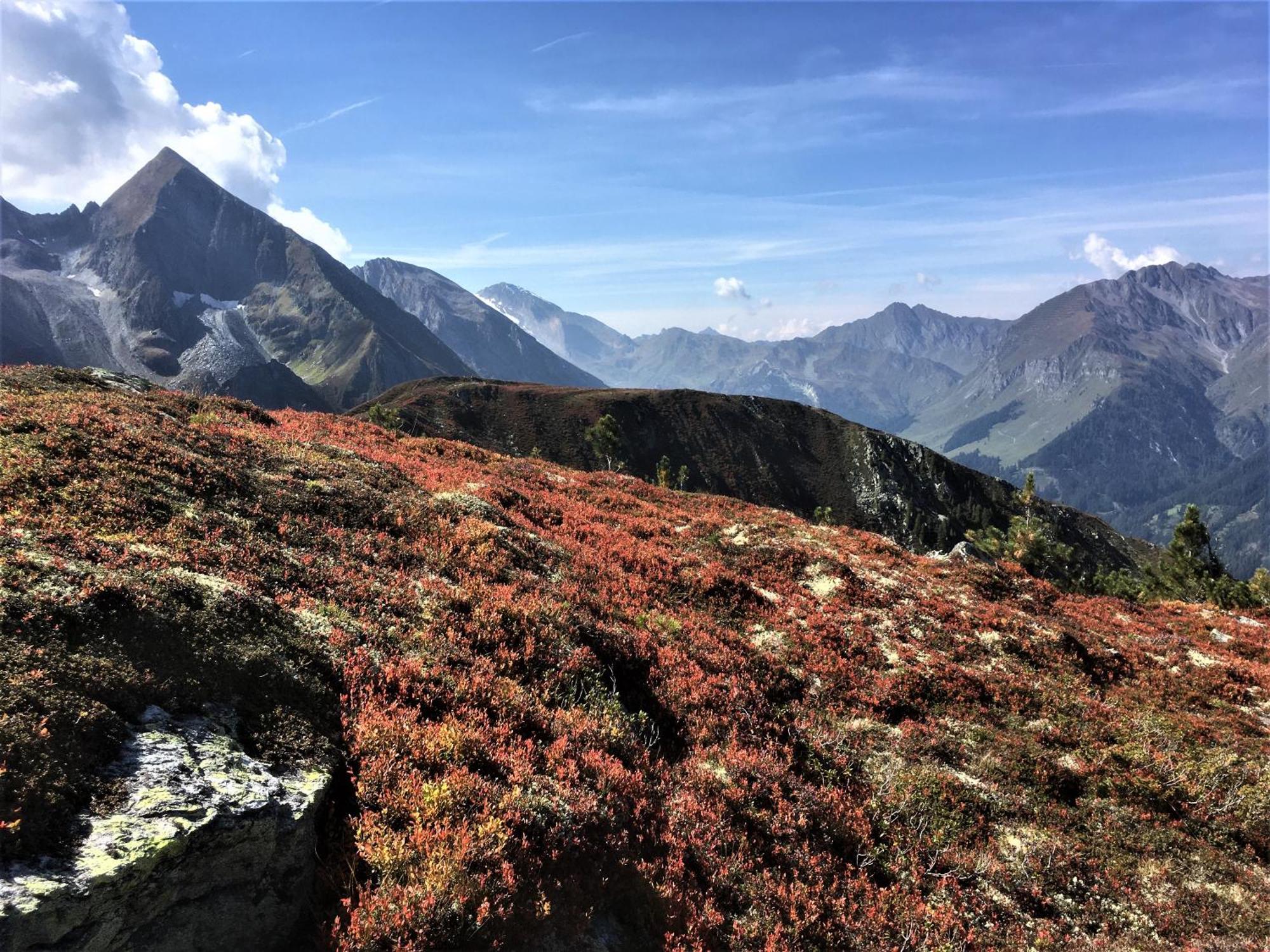 Monas Home Mayrhofen Luaran gambar